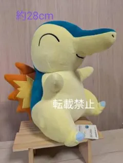 ヒノアラシ ぬいぐるみ タグ付き | Mercari