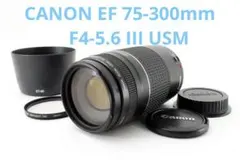 2026年最新】CANON EOS Kiss X 望遠レンズの人気アイテム - メルカリ