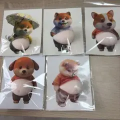 1. 【訳あり】柴犬 お腹ぷにぷにシール 5枚セット 3D立体シール