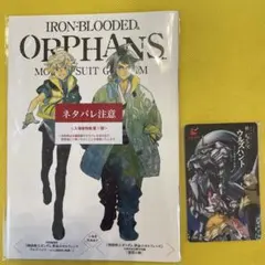 機動戦士ガンダム鉄血のオルフェンズ ウルズハント 特典 第1弾 使用済みムビチケ