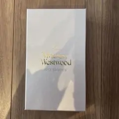 Vivienne Westwood 空箱　小物入れ　美品