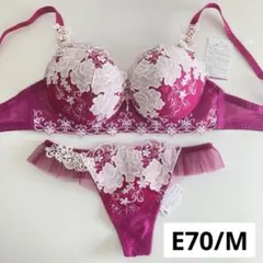 ワコール/サルート 06G ベトナムの花嫁 リッチヴェールブラソングF70
