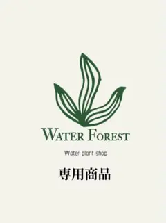 せり様　専用商品