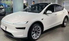 イツキ様専用　モデルYパーツのサムネイル