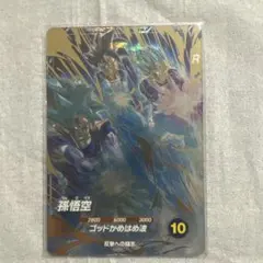 ap2-001 孫悟空　パラレル