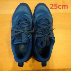 NIKE　ナイキ　スニーカー　２５cm 未使用　Air Max　エアーマックス