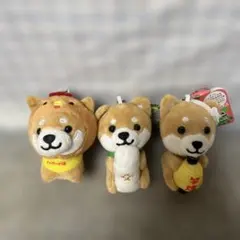 Item thumbnail for item 67c9da2f-6896-46fa-979b-555d45b64fc2