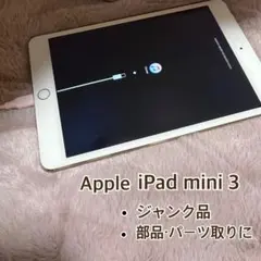 Apple iPad mini 3 割れなし ゴールド Wi-Fi ジャンク