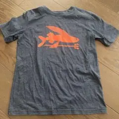 パタゴニアキッズTシャツ（S）