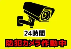 Item thumbnail for item 0e29750b-d0ae-43c4-9041-72cfdd88a219