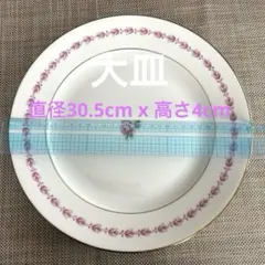 訳あり品】リチャードジノリ プレート インペロジュリエッタ リボン 金