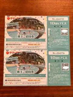 【4枚セット】東京サマーランド 株主優待 1Dayパス ご招待券 ペア 東京サマーランド 1Dayパスご招待券4枚セット サマーランド招待