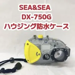 Item thumbnail for item 00e556b4-9ce5-4fc3-be1d-dc9dd7d8657b