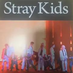 ON VOICE vol.5 Stray Kids 切り抜き