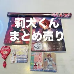 Mini様　専用　ポスターなし