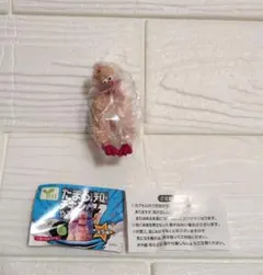 だまることを知らないチキンやろう7 　未使用　チキン君　キャラメル