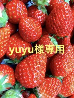 yuyu様専用