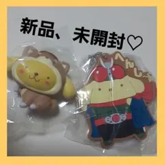 こいぬいぬの大行進 シン仮面ライダー×サンリオキャラクターズ  マスコットプリン