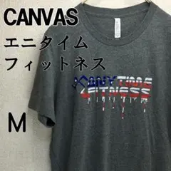 CANVAS　アメリカ　エニタイムフィットネス　グレー　Tシャツ　M