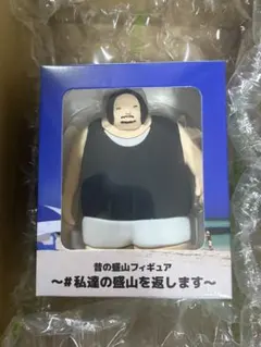 見取り図 昔の盛山 フィギュア 私達の盛山を返します - メルカリ