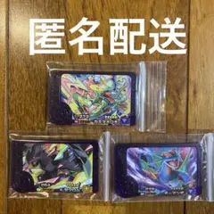 ポケモンフレンダ　ベストタッグ　カミツオロチ　ゼクロム　ボーマンダ　匿名配送