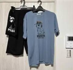 Item thumbnail for item 7848fa62-ba7e-43c9-8b2f-c5275b9b4b47