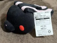 チャックスGP SL寝汎用うさぎ ぬいぐるみ ブラック CGP-285 - メルカリ