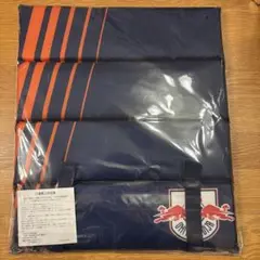 RB大宮アルディージャ　折り畳みシートクッション、ハローキティークリアファイル
