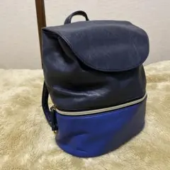 2way リュック/ショルダーバッグ　アーノルドパーマー