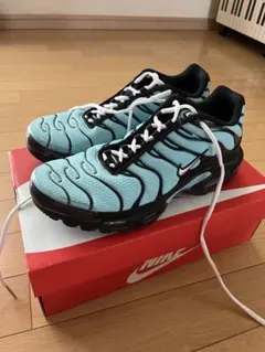 Nike air max plus マップラ 水色