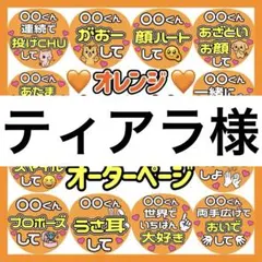 ティアラ様　専用　カンペうちわ