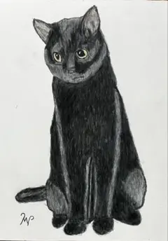 色鉛筆画90 A4 黒猫「おかえりなさい」 - メルカリ