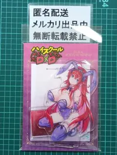 ハイスクールD×D　リアス・グレモリー　デカアクリルスタンド　ランジェリーバニー