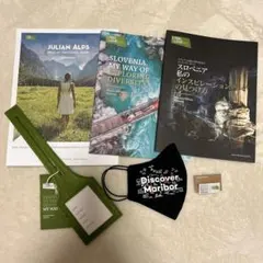 Item thumbnail for item bd7347c7-151c-43a8-bee0-1badbde69196