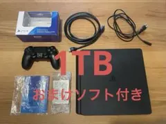 PlayStation 4 CUH-2200B 1TB 本体　【訳あり】