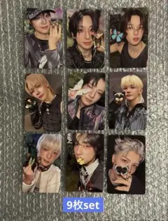 &TEAM BacktoLife ROAR ver.トレカ セット ③