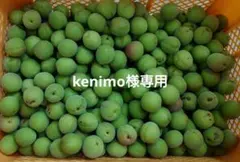 kenimo様専用　南高梅