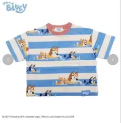 チマジロ 100cm ブルーイ Tシャツ ボーダー柄 新品 しまむらのサムネイル
