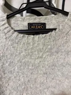 ビームスプラス　シャギードッグセーター　サイズL