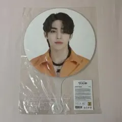 2025年最新】seventeen うちわ エスクプスの人気アイテム - メルカリ