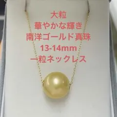 2026年最新】南洋真珠 14mmの人気アイテム - メルカリ