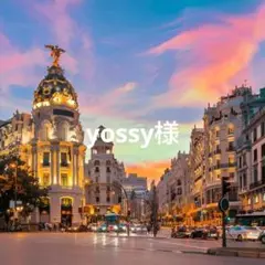 コメントご確認下さい yossy様 リクエスト 4点 まとめ商品