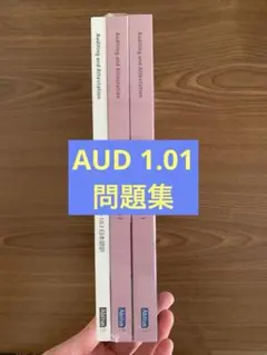 アビタス USCPA AUD 1.01 問題集のサムネイル
