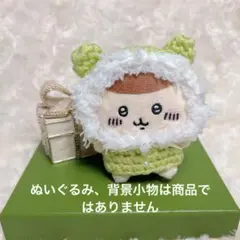 毛糸のぬいぐるみ服と被り物（パール、ファー付き緑）