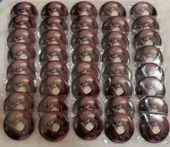 プロセカ 望月穂波 グリッター缶バッジ 5b 40点