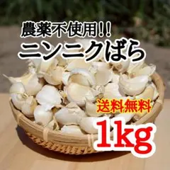 送料無料!! 2026年産 無農薬 バラニンニク 1kg ニンニク 1キロのサムネイル
