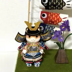 五月人形衣装 シルバニア 大人サイズ - メルカリ