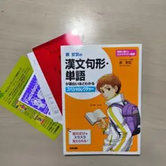 代ゼミテキスト　視点で解くセンター現国古文漢文　夏期講習会原安宏代々木ゼミナール 原安宏の 漢文句形・単語が面白いほどわかるスペシャルレクチャー