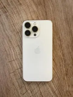 iPhone13pro