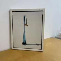 花井祐介 ordinary people YUSUKE HANAI 画集 花井祐介のアートブック『ORDINARY PEOPLE』が発売。ビームスT原宿にて